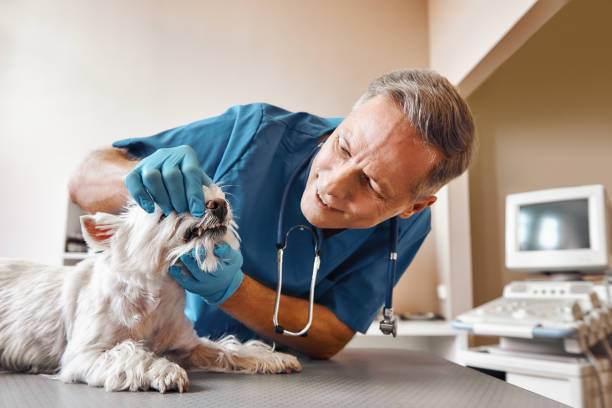 Best Emergency Treatment for Toothache in Seminole, FL